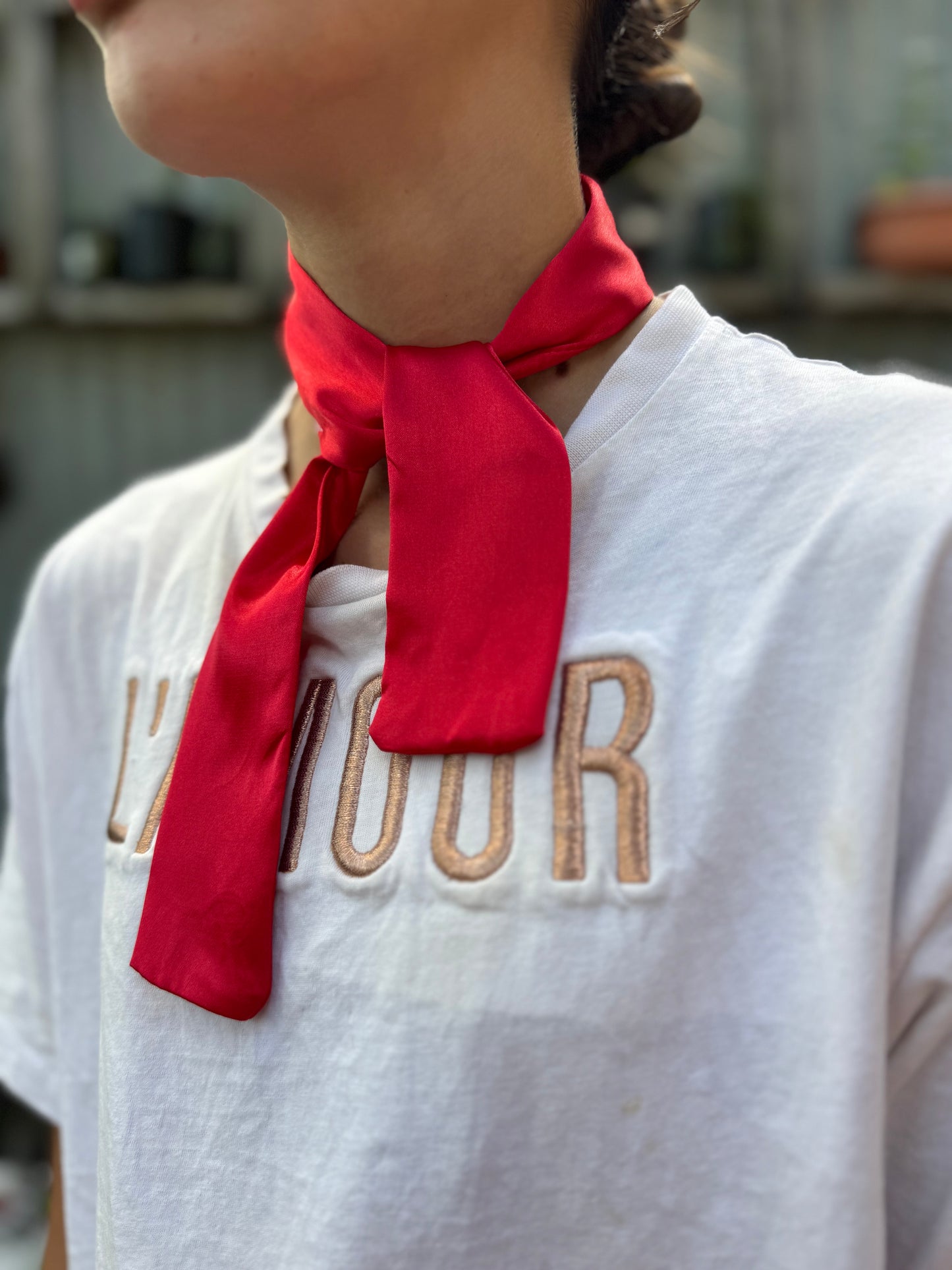Red Satin Neck Tie