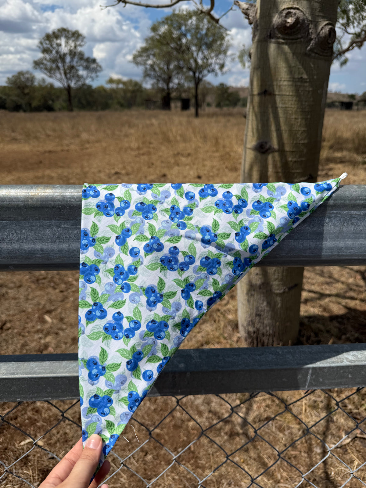 Blueberry Muffin Neck scarves