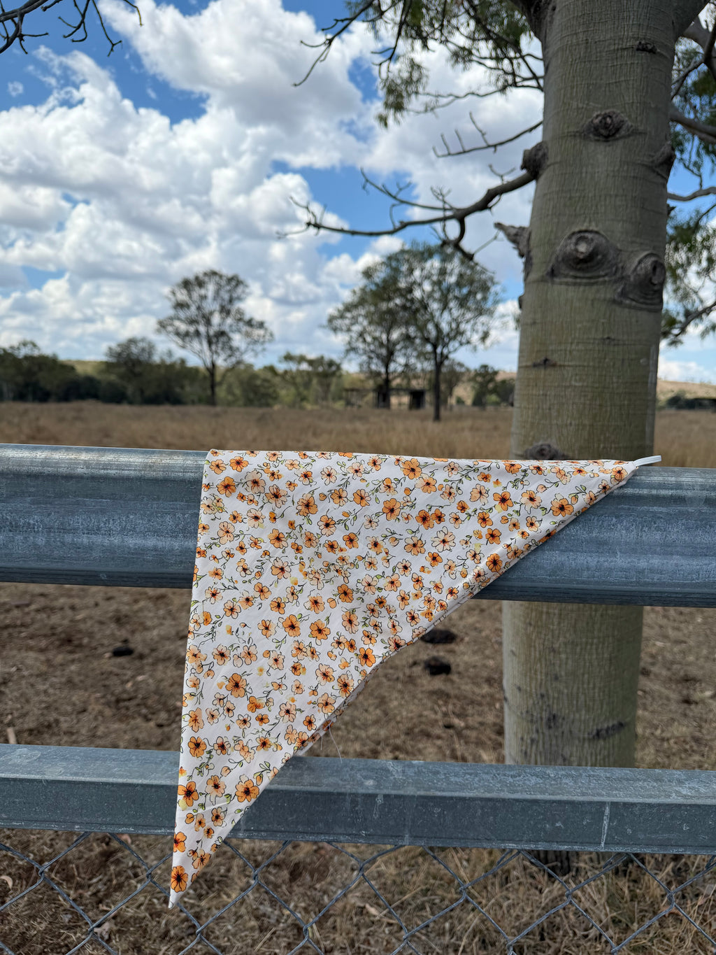 Sun-kissed Neck scarves