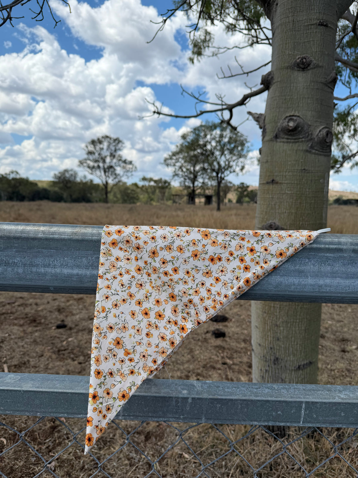 Sun-kissed Neck scarves