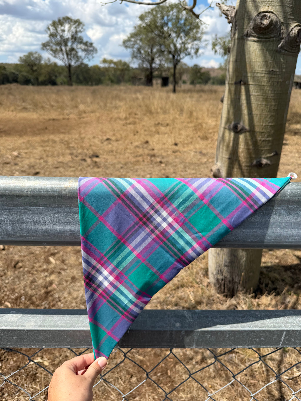 After Hours Neck Scarves