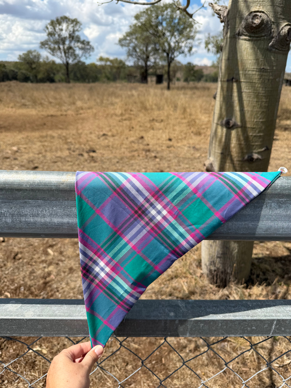 After Hours Neck Scarves