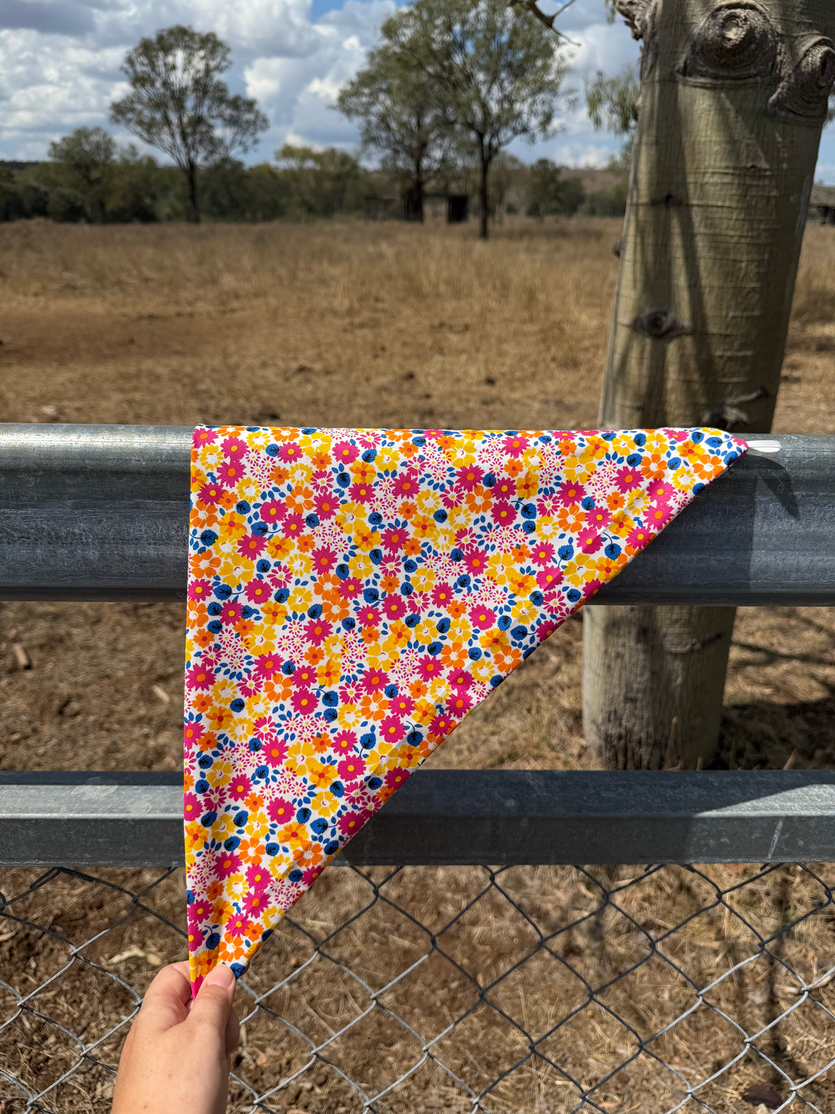 Sunny Spur Neck Scarves