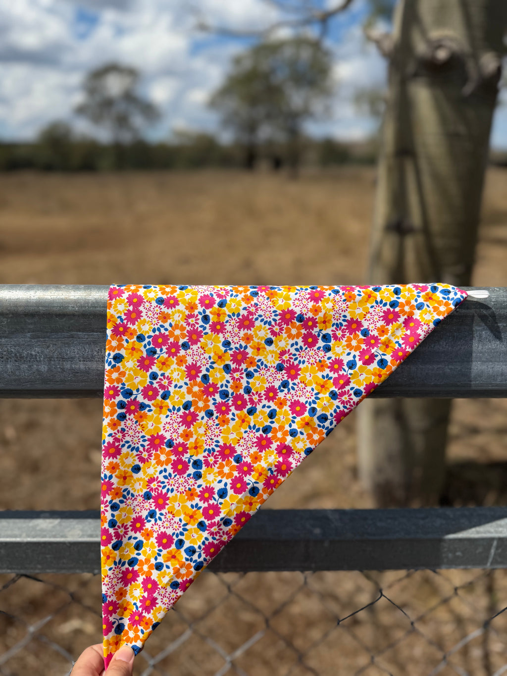 Sunny Spur Neck Scarves