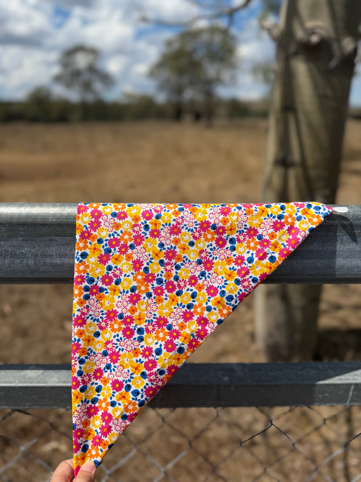 Sunny Spur Neck Scarves