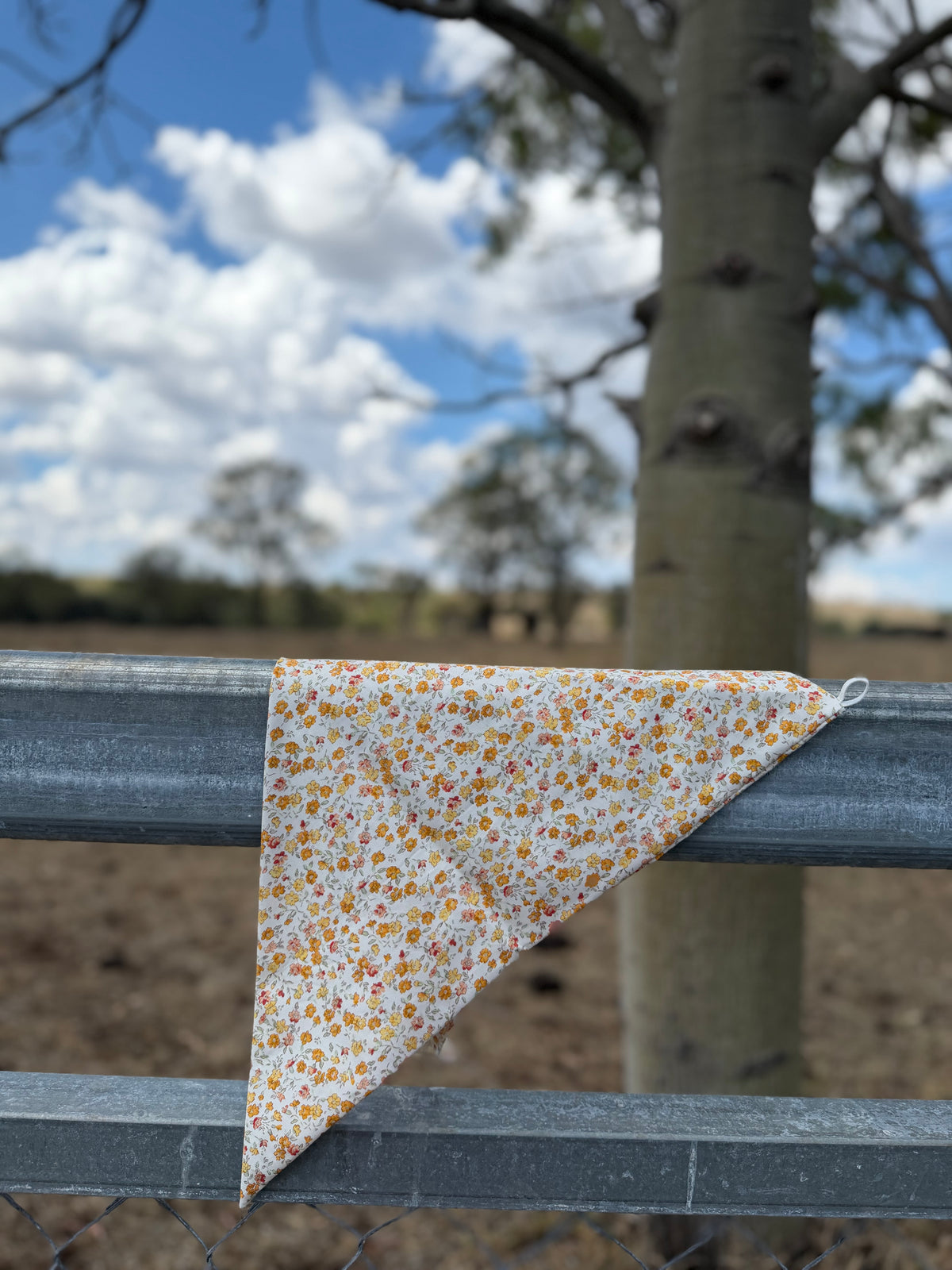 Dandelion Dust Neck Scarves