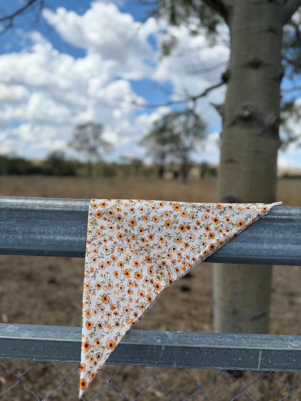 Sun-kissed Neck scarves