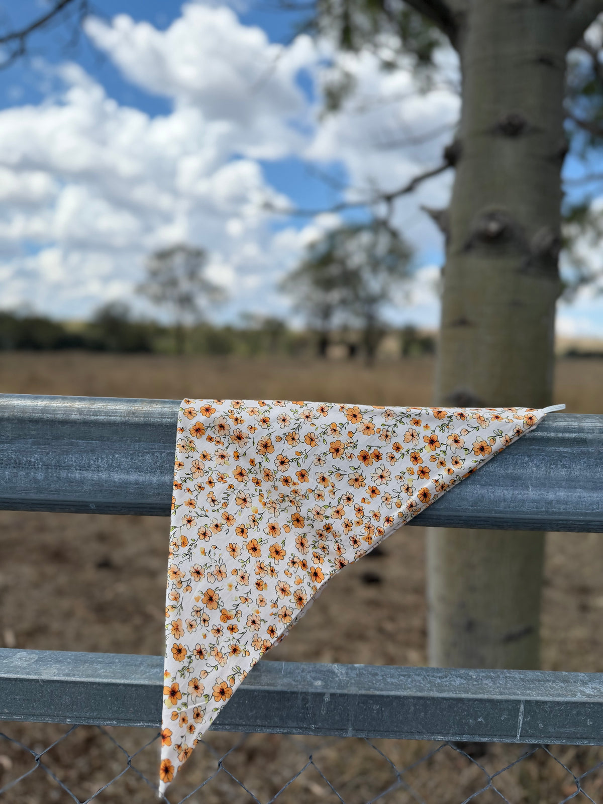 Sun-kissed Neck scarves