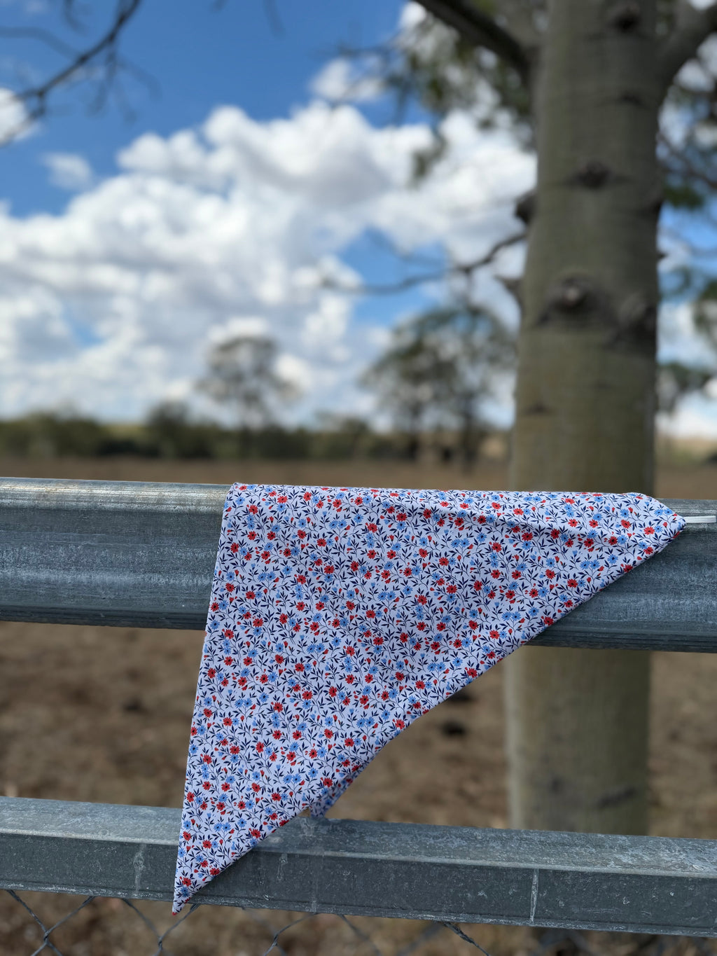 Wild Frontier Neck Scarves