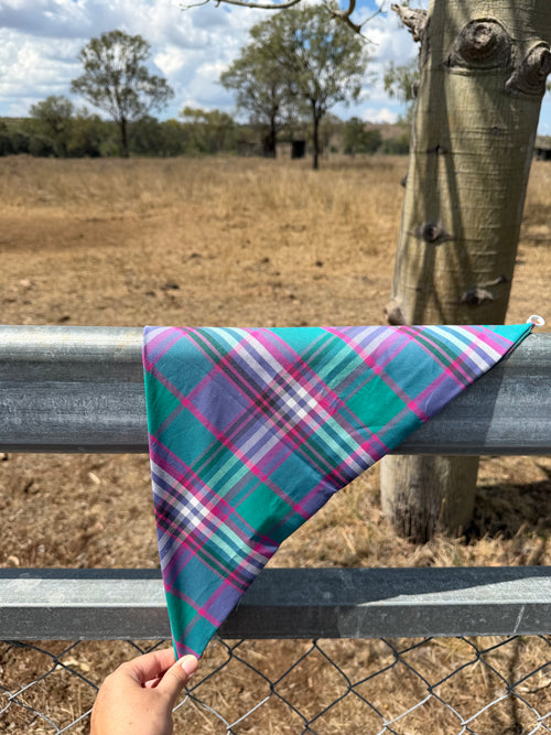 After Hours Neck Scarves