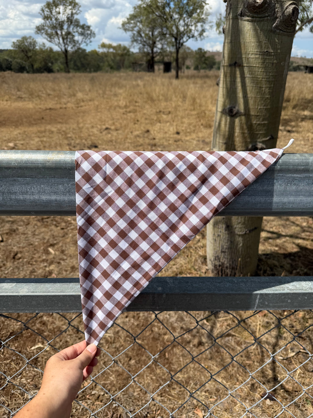 Rustic Cowgirl Neck Scarves