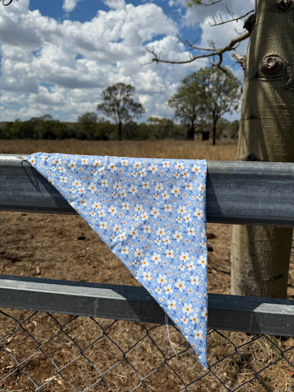 The Sully Neck Scarves