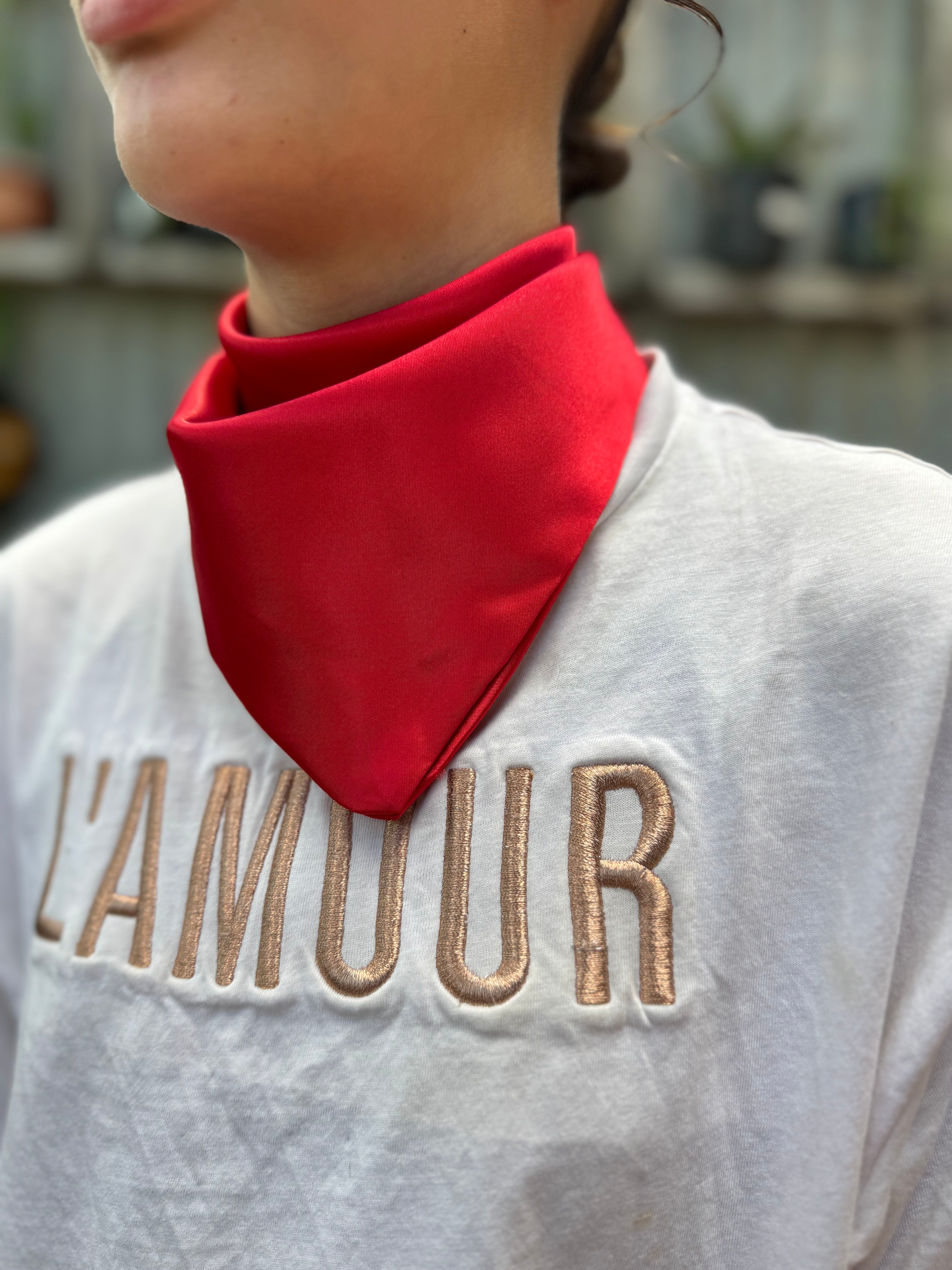 Red Satin Neck Scarves