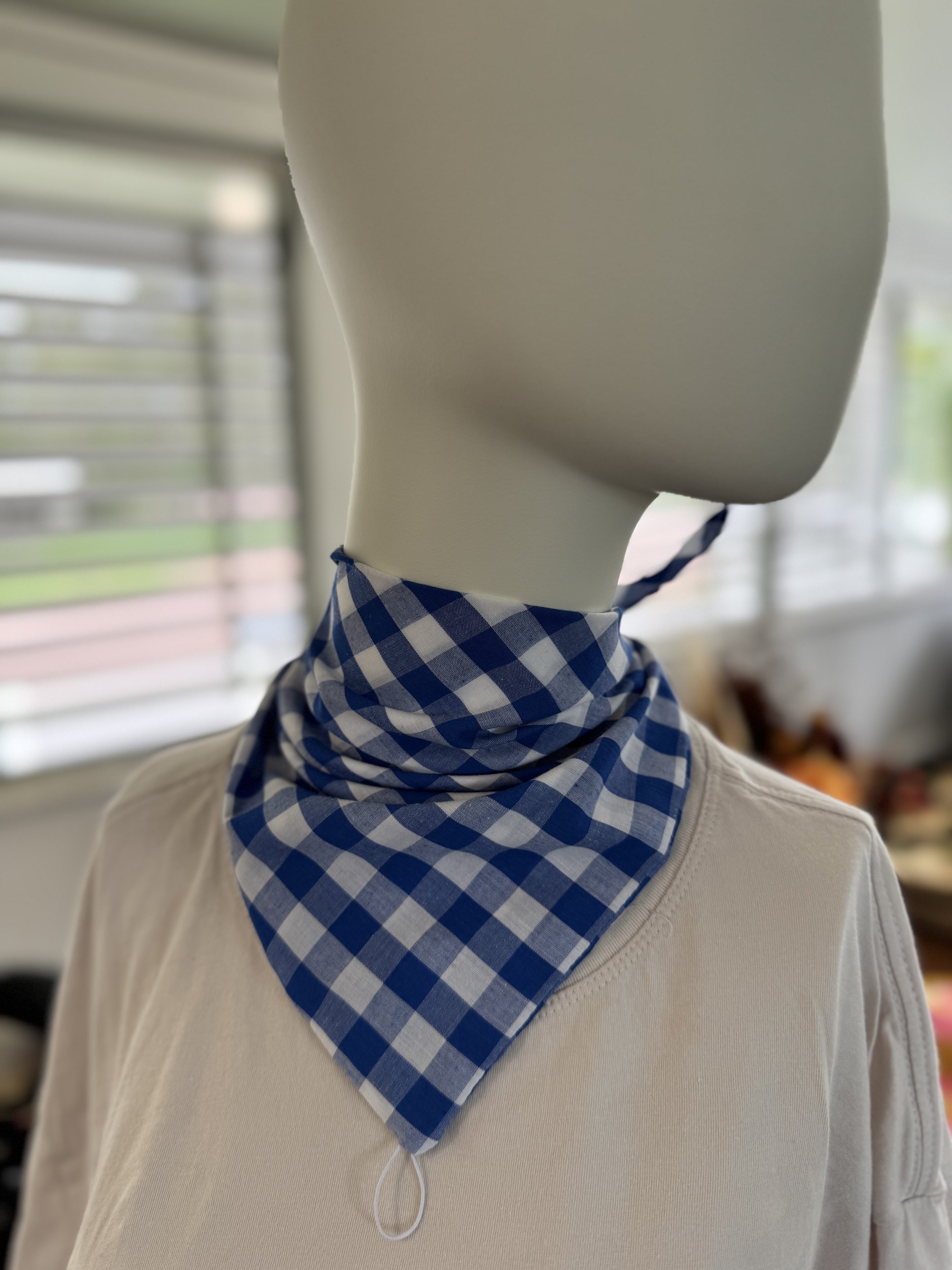 Blue Lagoon Neck Scarves