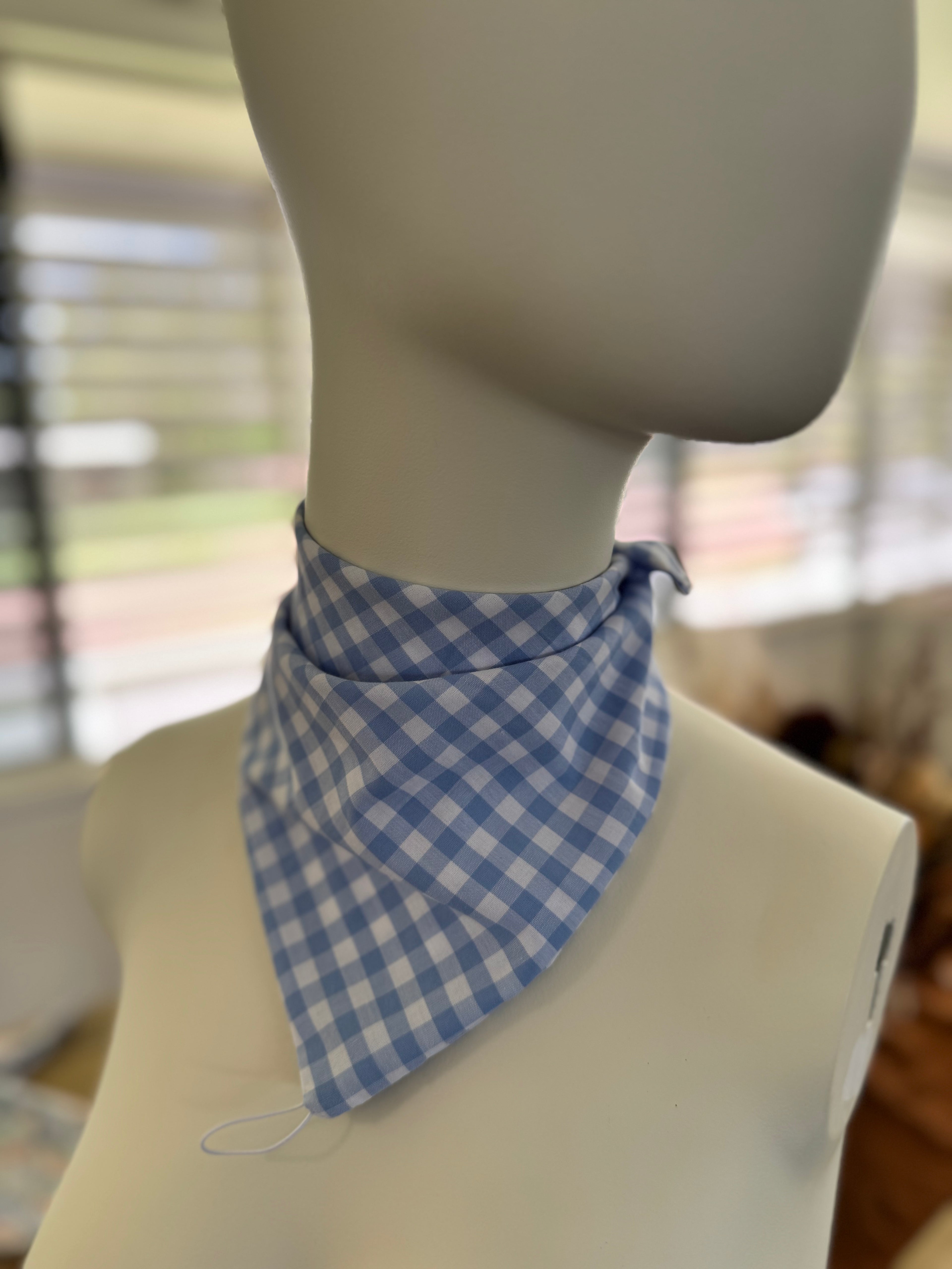 Baby Blue Check Neck Scarves