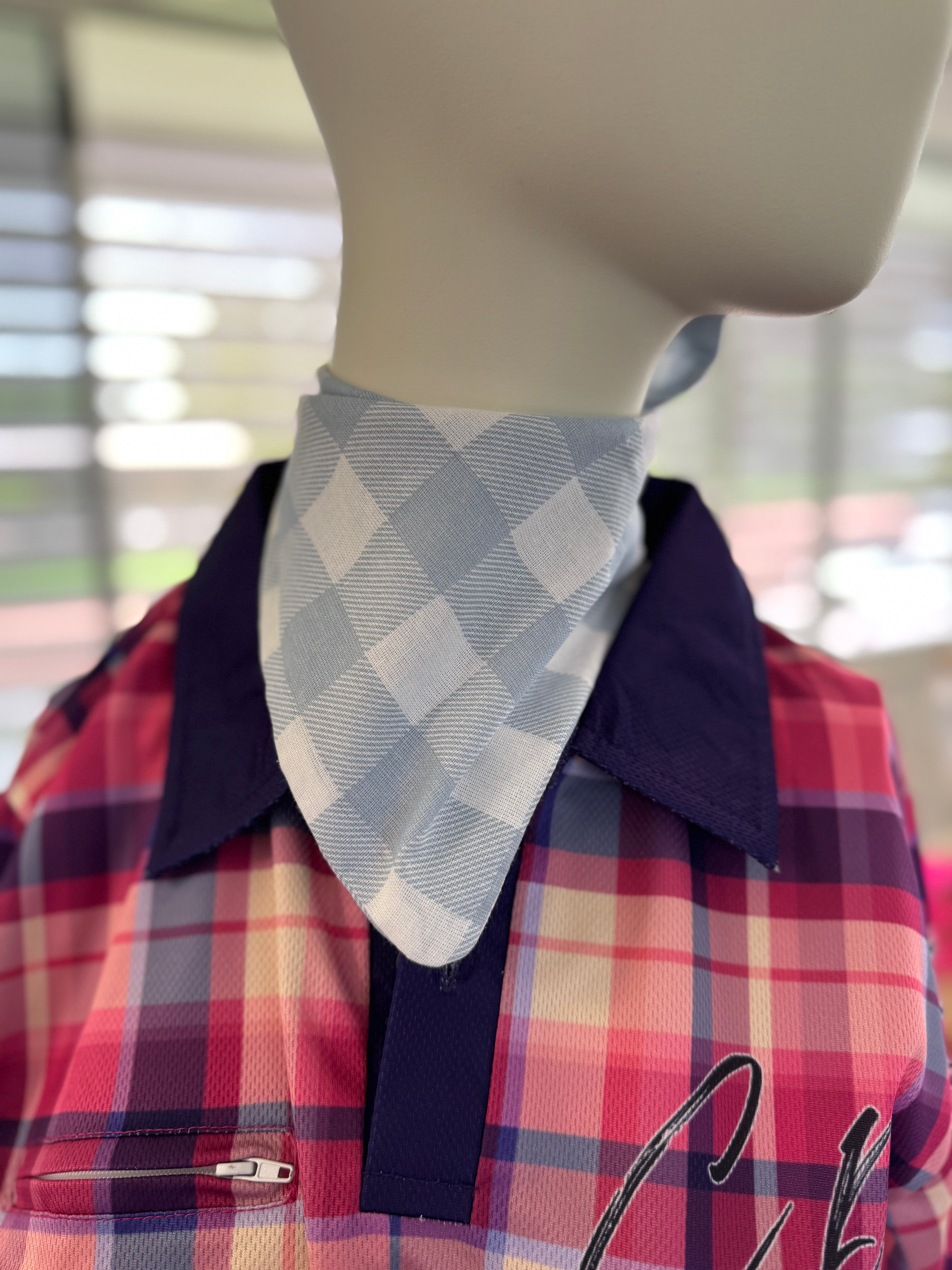 Winter neck Scarves : Large Blue Check